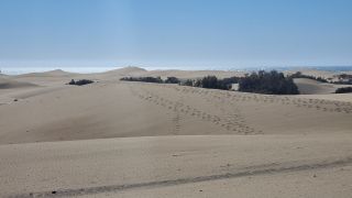 2023-GC-Mirador_de_Las_Dunas-062.jpg